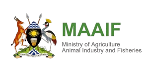 MAAIF